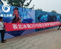 連云港伊甸園冰雕節「賽北冰雕」