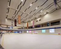 吉林長白山保護開發區滑冰館建設項目「賽北冰雕」