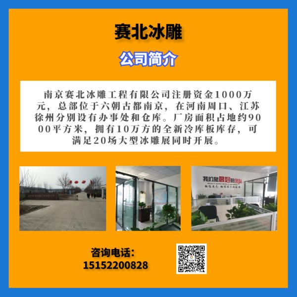 創(chuàng)意型的冰雕展制作 創(chuàng)意型的冰雕展制作