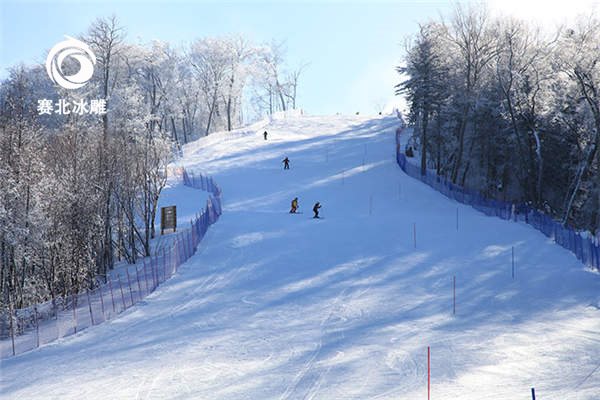 滑雪場(chǎng)運(yùn)營(yíng) 滑雪場(chǎng)運(yùn)營(yíng)