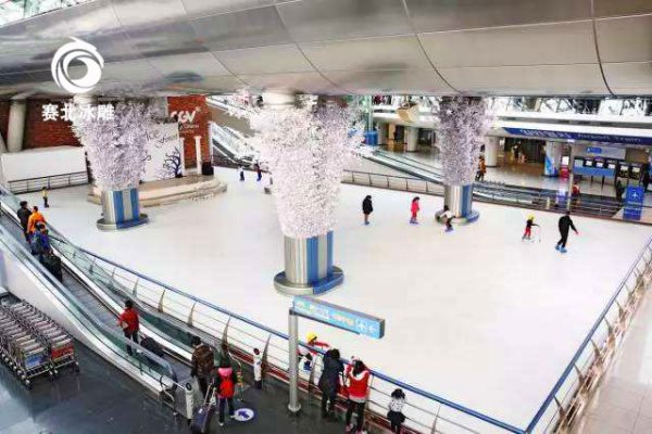 哪里能找到冰場設計要求 哪里能找到冰場設計要求