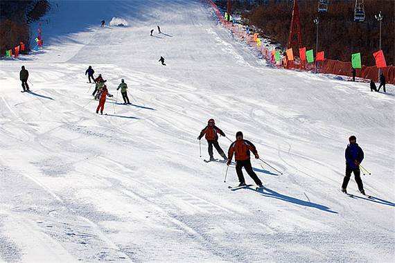 金龍山滑雪場 金龍山滑雪場