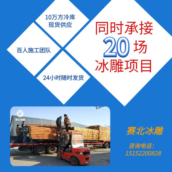 冰雕制作廠(chǎng)家 冰雕制作廠(chǎng)家