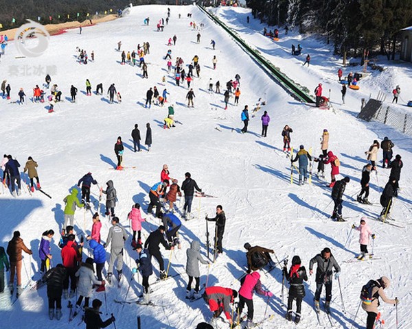 專業的滑雪場設計廠家
