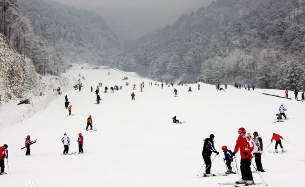 大明山滑雪場 大明山滑雪場